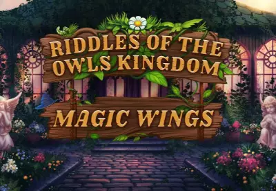 Riddles of the Owls' Kingdom. Magic Wings Steam CD Key